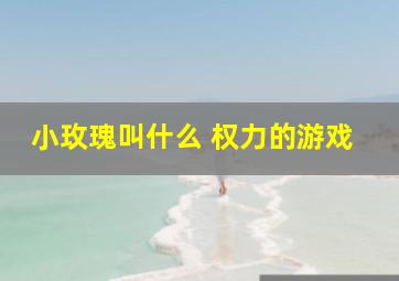 小玫瑰叫什么 权力的游戏